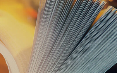 Михаило Живковић побједник општинског такмичења из српског језика