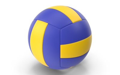 Одбојкаши и одбојкашице наше школе заузели прво мјесто на општинском такмичењу