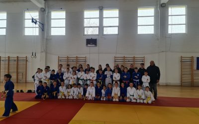 Џудисти ОШ „Свети Сава“ освојили 17 медаља на регионалном такмичењу