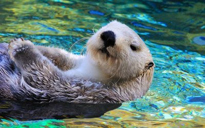 Нови успјеси наших ученика