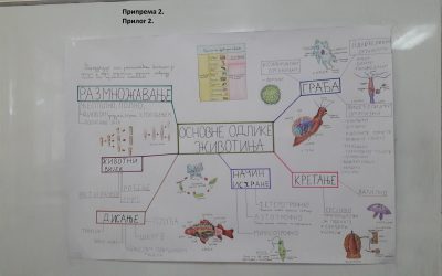 Пројекат „Подучавање о критичком мишљењу и рјешавању проблема“